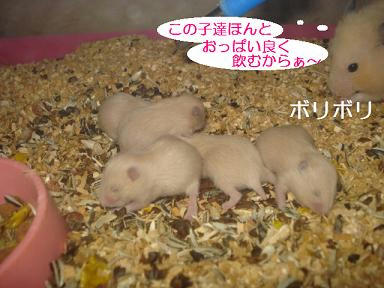DSC08428.JPG