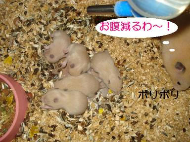 DSC08429.JPG