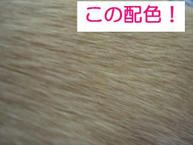 DSC08439.JPG
