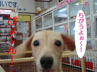 DSC08389.JPG