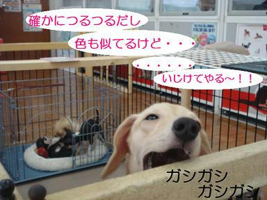 DSC08393.JPG