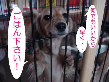 DSC08722.JPG