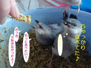 DSC08690.JPG