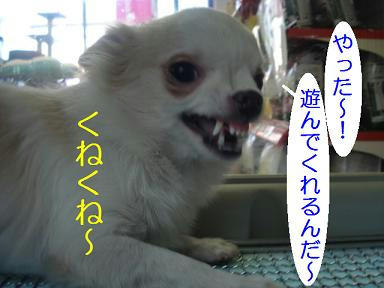 DSC09591.JPG