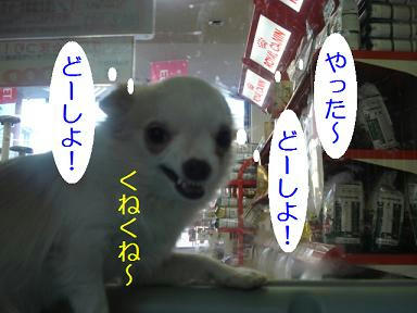 DSC09609.JPG