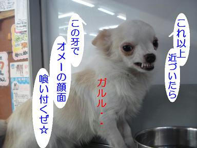 DSC09678.JPG