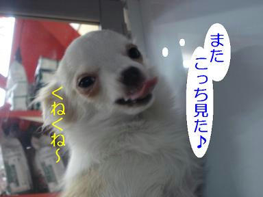DSC09692.JPG