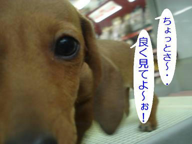DSC09786.JPG