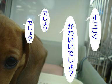 DSC09804.JPG