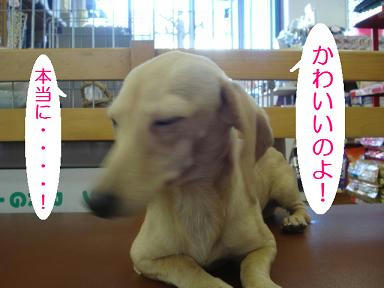 DSC09817.JPG