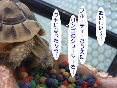 DSC09871.JPG