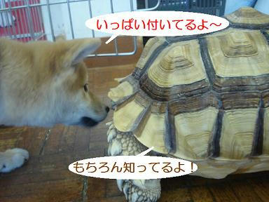 DSC09862.JPG