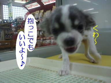 DSC00027.JPG