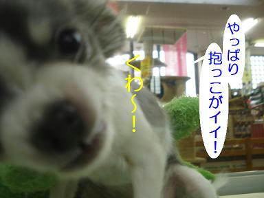 DSC00018.JPG