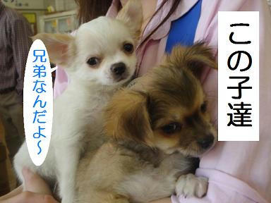 DSC00082.JPG