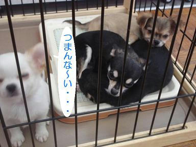 DSC00063.JPG