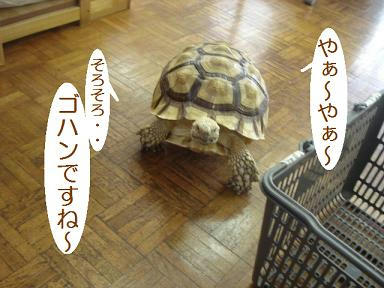 DSC00022.JPG