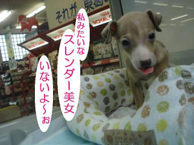 DSC00122.JPG