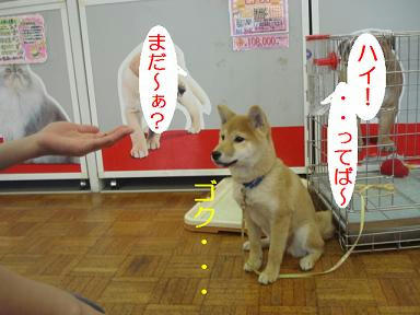 DSC00097.JPG