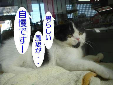 DSC00255.JPG