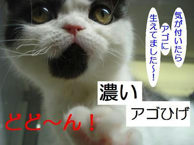 DSC00227.JPG