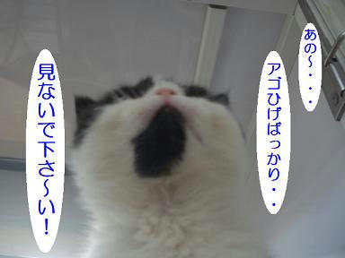 DSC00140.JPG