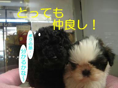 DSC00276.JPG