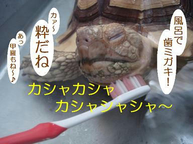 DSC00300.JPG
