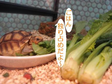DSC00044.JPG