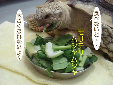 DSC00073.JPG