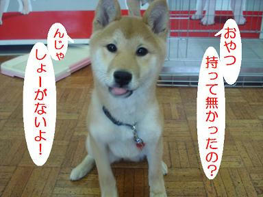 DSC00199.JPG