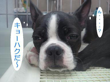 DSC00163.JPG