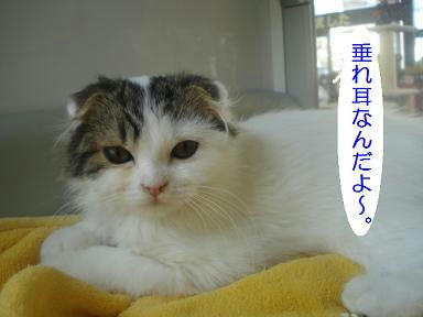 DSC00244.JPG