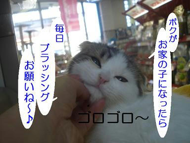 DSC00239.JPG