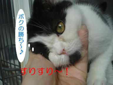 DSC00252.JPG