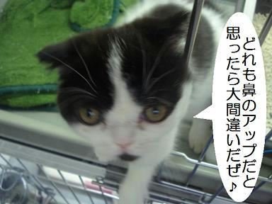 DSC00089.JPG