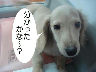 DSC00102.JPG