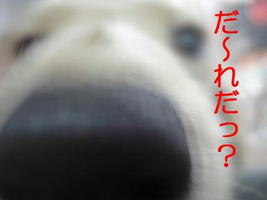 9994c87f.jpeg