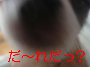 DSC00258.JPG