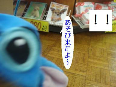 DSC00269.JPG