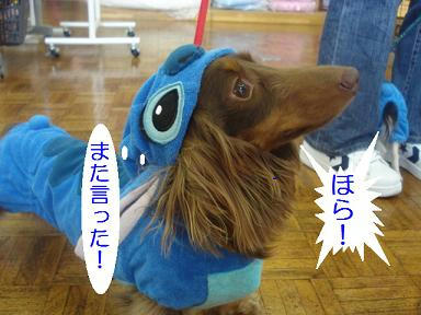 DSC00266.JPG