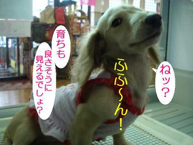 DSC00531.JPG