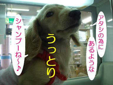 b87360e1.jpeg