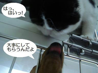 DSC00557.JPG