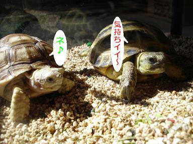 DSC00617.JPG