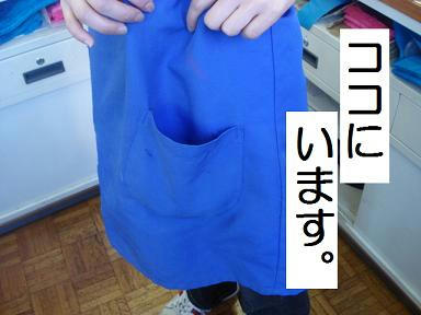 DSC00635.JPG