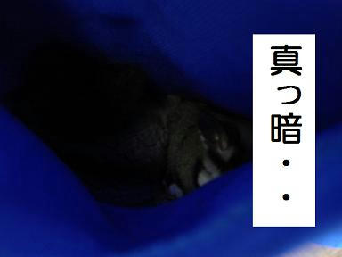 DSC00637.JPG