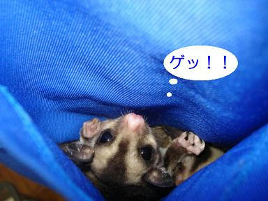 DSC00639.JPG