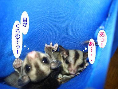 DSC00640.JPG