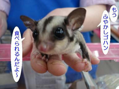 DSC00599.JPG